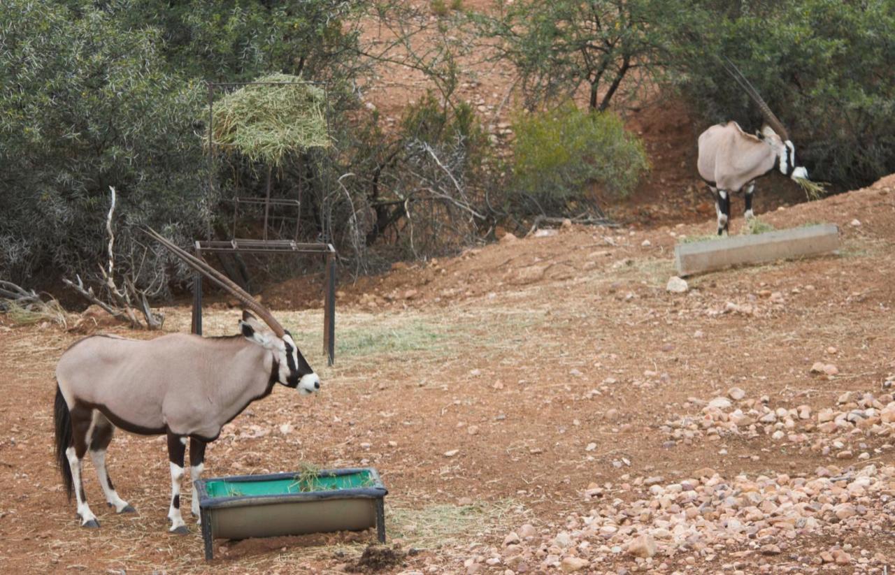 Zwartberg View Mountain Lodge Oudtshoorn Eksteriør billede